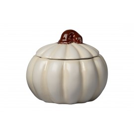 Pumpkin Box - Case of 6 Pumpkin Box - Case of 6